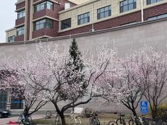 -吉林大学(前卫南区)