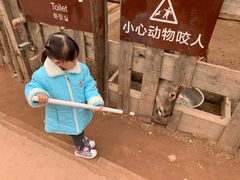 -呀路古热带植物园
