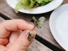 -Bleston Court Yukawatan