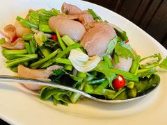 椒麻斑鱼肚-川旺角川粤融合菜•海景餐厅(星海广场店)