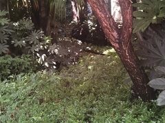 -昆明洲际酒店