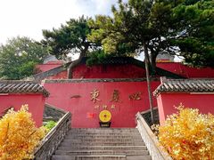 -妙峰山风景名胜区