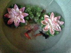 店里的鱼鱼~-金陵一哥龙虾(水木秦淮店)