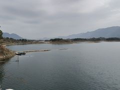 -鱼乐岛餐厅·户外花园主题餐厅