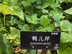 -上海植物园-4号门售票处