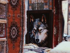 -新疆国际大巴扎