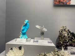 -湖南省地质博物馆