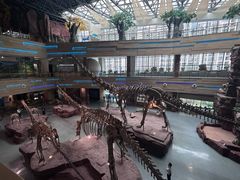 -安徽省地质博物馆