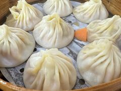 -莱莱小笼·乔艾