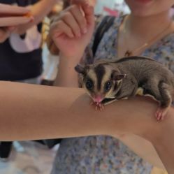 -Moni星球萌宠·小马宝莉·灵蛇·高端高阶全萌宠互动体验俱乐部(红豆国际广场店)