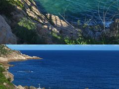 -广东惠东海龟国家级自然保护区