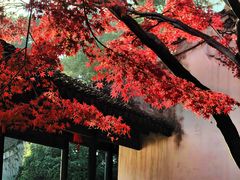 -无锡惠山寺