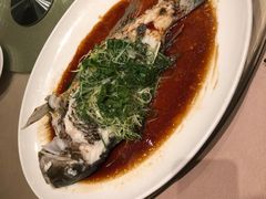 清蒸鱼-陶陶居海鲜酒家(新马路店)