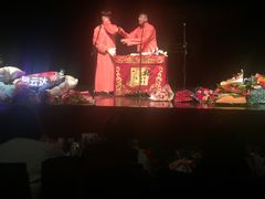 -合肥大剧院