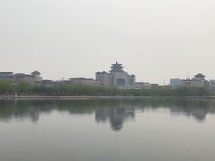 -莲花池公园