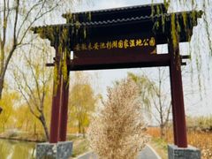 -池杉湖湿地公园
