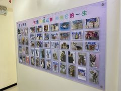 -全心全意连锁动物医院·微创中心·内科急重症·心脏专科(丰管路店)
