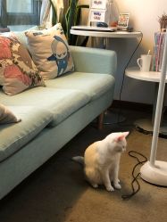 -尚美日式美甲美睫工作室