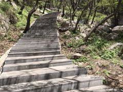 -王顺山国家森林公园