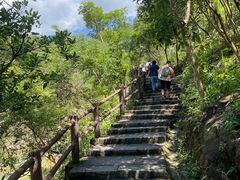 -广州白江湖森林公园