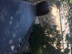 iphone_upload_pic-蒙山大佛景区