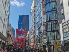-秋叶原电器街