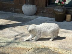 -东钱湖旅游度假区