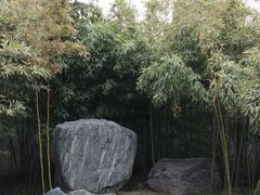 -西安青龙寺遗址景区