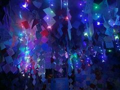 android_upload_pic-泸沽肴(泸沽湖大洛水村农村信用社旁店)