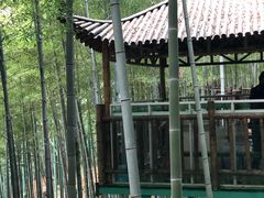 -陶祖圣境风景区