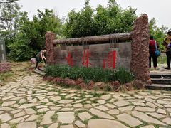 -武清南湖绿博园