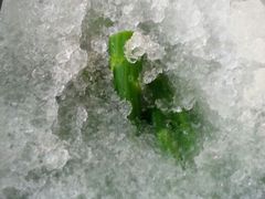 android_upload_pic-蚝专家(北滘店)