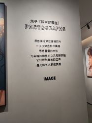 -大树儿童摄影