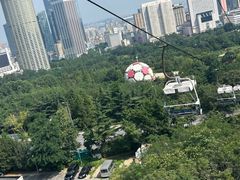 -富斯特索道