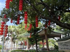 -荔湾湖公园