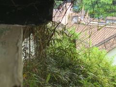 -乌山风景区
