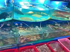 -望海潮海鲜店 特色家常菜(在海一方店)