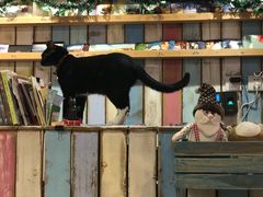 -小时光咖啡馆(开森度假森林店)