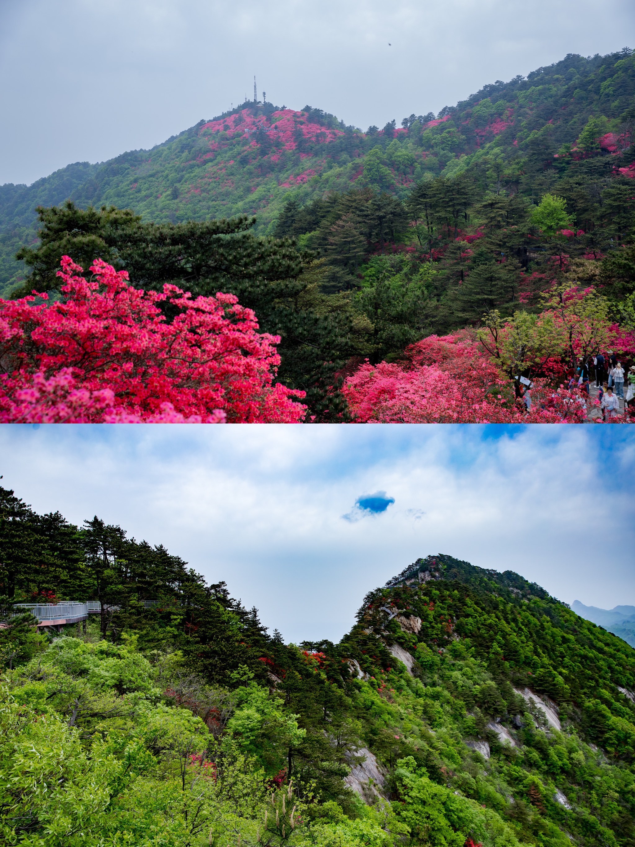 🌺武汉周边游