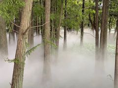 -东湖落雁景区