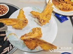 -港升鱼师傅·中山脆肉鲩