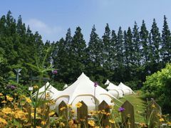 -前小桔亲子创意农场·草莓采摘·露营烧烤