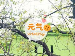 -石井坡(地铁站)