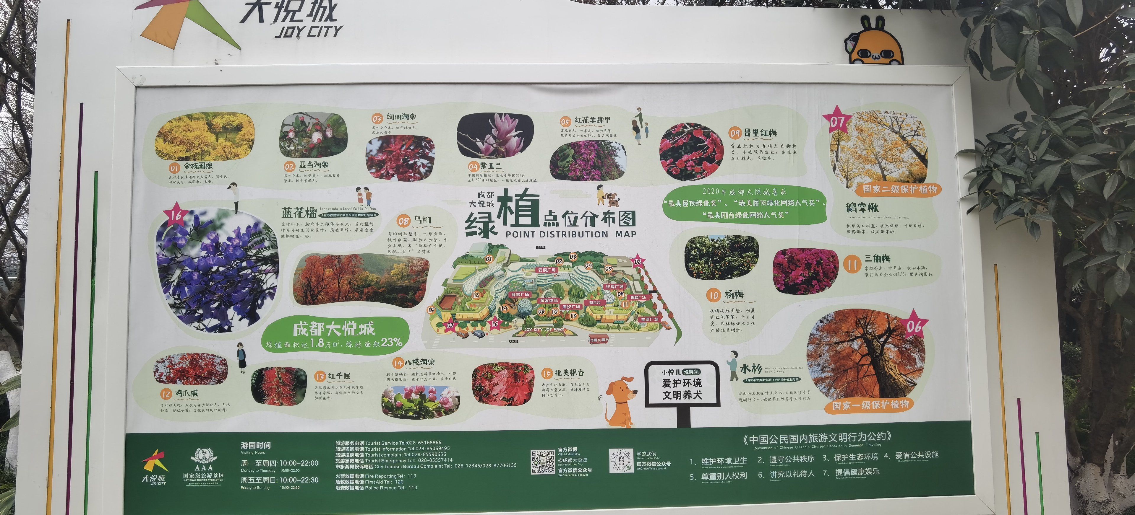 成都大悦城楼顶花园