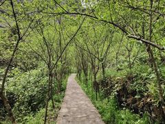 -鹿院坪生态旅游景区
