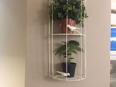 -云朵上的鱼(莘庄店)