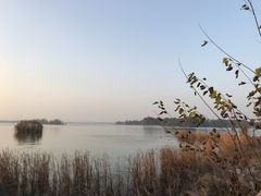 -东湖落雁景区