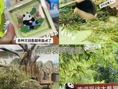 -成都大熊猫繁育研究基地