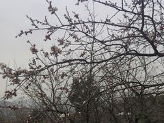 -妙峰山风景名胜区