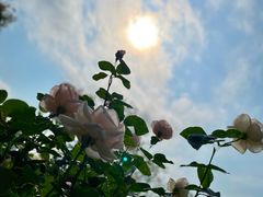 -人民公园(罗湖区)